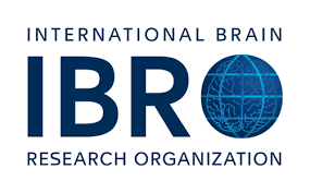 International Brain Research Organization (IBRO)