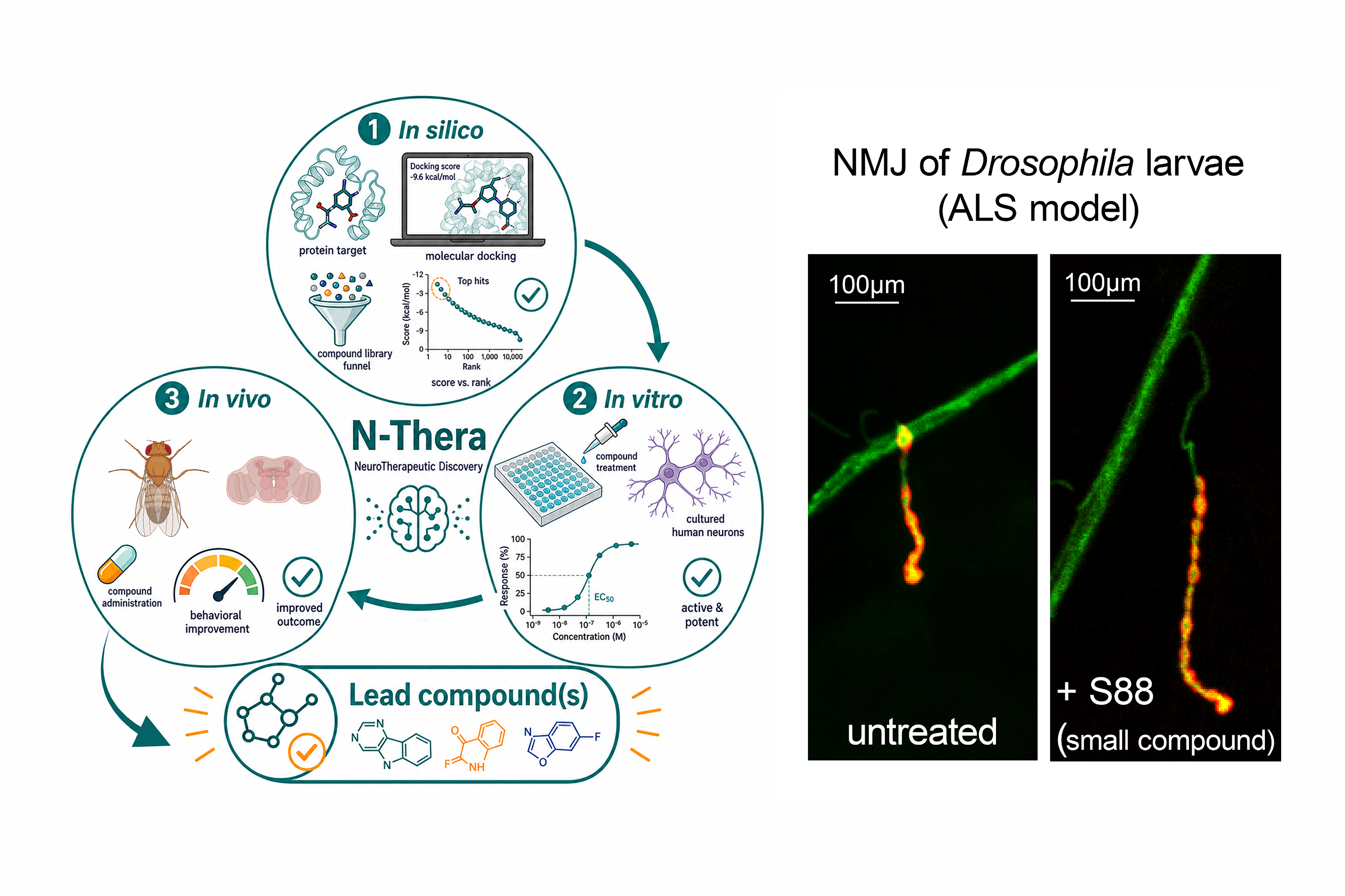 NeuroTherapeutic Discovery